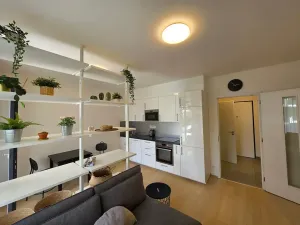 Pronájem bytu 1+kk, Praha - Jinonice, Kloudova, 23 m2