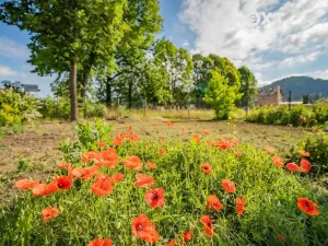 Prodej bytu 3+1, Moravská Třebová, Lanškrounská, 80 m2