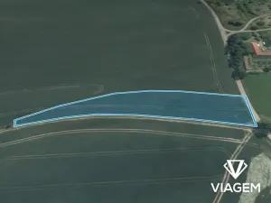 Prodej podílu pole, Zvěstov, 1101 m2