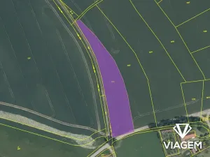 Prodej podílu pole, Zvěstov, 1101 m2