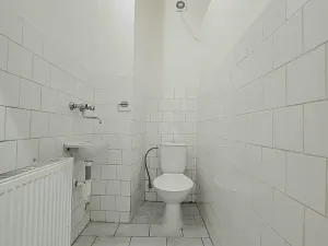 Pronájem obchodního prostoru, Brno, Cejl, 76 m2