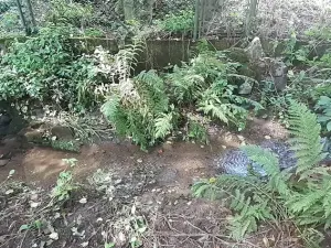 Prodej pozemku pro bydlení, Senohraby, U tunelu, 1644 m2