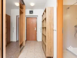 Pronájem bytu 1+kk, Praha - Podolí, Dvorecká, 55 m2