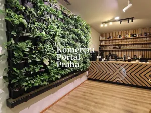 Pronájem restaurace, Praha - Vinohrady, Bořivojova, 195 m2