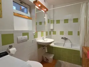 Prodej rodinného domu, Bílovice nad Svitavou, Dobrovského, 93 m2