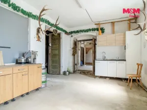Prodej obchodního prostoru, Raspenava, Hejnická, 388 m2