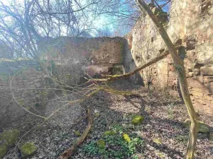 Prodej pozemku, Dolní Dvořiště - Všeměřice, 11107 m2