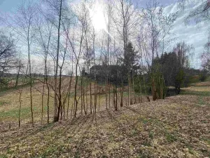 Prodej pozemku, Nové Hrady, 2407 m2