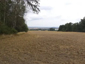 Prodej zahrady, Heřmanova Huť - Vlkýš, 1100 m2