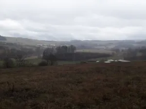 Prodej pole, Teplice nad Metují - Dolní Teplice, 25028 m2
