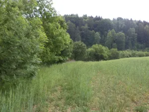 Prodej pozemku, Pohledy - Horní Hynčina, 1135 m2