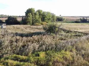 Prodej pozemku, Nesuchyně, 951 m2