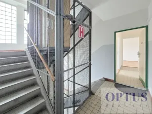 Pronájem bytu 3+kk, Praha - Břevnov, Pod Marjánkou, 55 m2