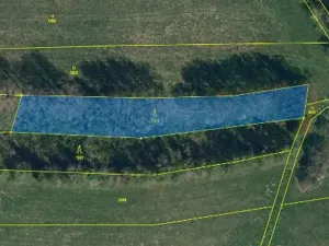 Prodej lesa, Skorkov, 2840 m2