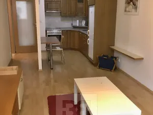Pronájem bytu 2+kk, Praha - Žižkov, Budovcova, 60 m2