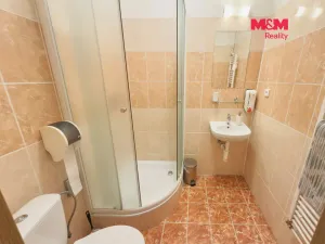 Pronájem ubytování, Karviná - Lázně Darkov, Lázeňská, 650 m2