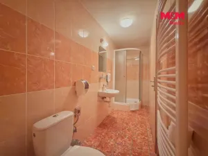 Pronájem ubytování, Karviná - Lázně Darkov, Lázeňská, 650 m2