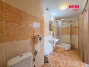 Pronájem ubytování, Karviná - Lázně Darkov, Lázeňská, 650 m2
