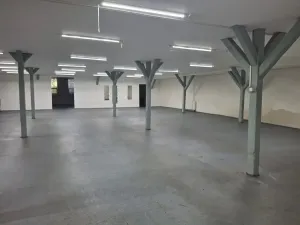 Pronájem obchodního prostoru, Žatec, Nákladní, 350 m2