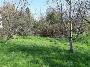Prodej pozemku pro bydlení, Bravantice, 1062 m2