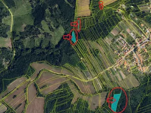Prodej lesa, Hlína, 7201 m2