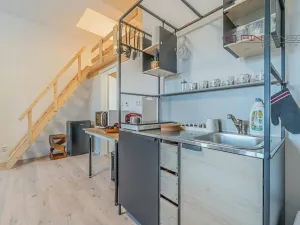Prodej bytu 1+kk, Kryštofovy Hamry, 36 m2