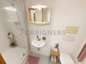 Pronájem bytu 2+kk, Hradec Králové, Tomkova, 48 m2