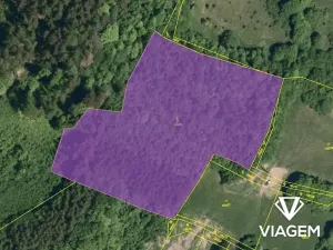 Prodej lesa, Vsetín, Rokytnice, 13331 m2