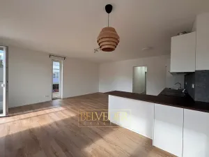 Pronájem bytu 2+kk, Teplice, Albrechtova, 70 m2