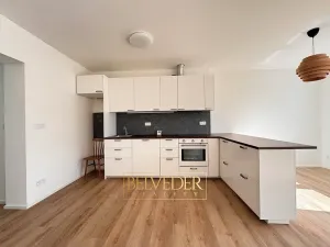 Pronájem bytu 2+kk, Teplice, Albrechtova, 70 m2