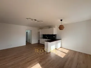 Pronájem bytu 2+kk, Teplice, Albrechtova, 70 m2