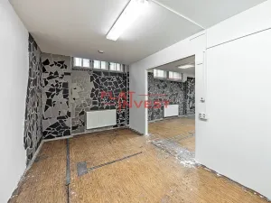 Pronájem obchodního prostoru, Praha - Vršovice, Vršovická, 233 m2