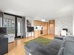 Prodej bytu 2+kk, Praha - Žižkov, Pitterova, 52 m2