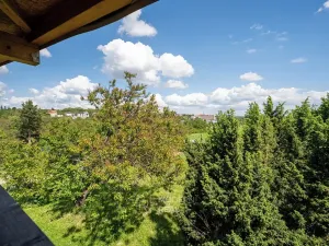 Prodej chaty, Brno, 40 m2