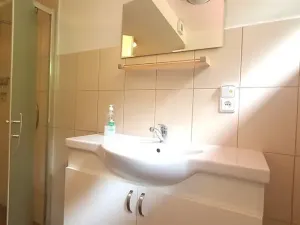 Prodej ubytování, Šumvald, 350 m2