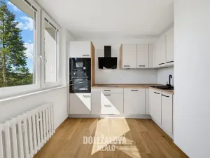 Pronájem bytu 1+1, Jihlava, Královský vršek, 32 m2
