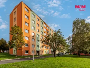 Prodej bytu 3+1, Chodov, Obránců míru, 55 m2