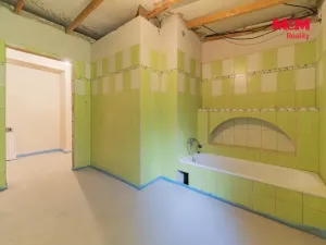 Prodej rodinného domu, Mnichov, 160 m2