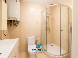 Pronájem bytu 2+1, Teplice, Pražská, 58 m2