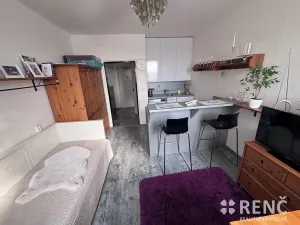 Prodej bytu 1+kk, Brno, Halasovo náměstí, 23 m2