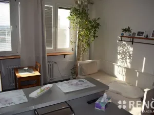 Prodej bytu 1+kk, Brno, Halasovo náměstí, 23 m2