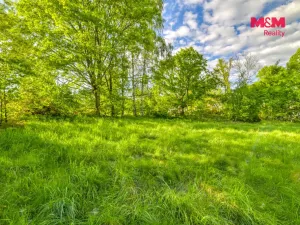 Prodej komerčního pozemku, Skalná, 1168 m2