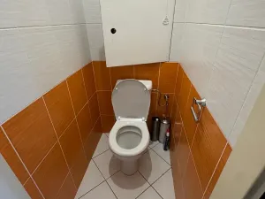 Pronájem bytu 2+1, Praha - Strašnice, Pod altánem, 71 m2
