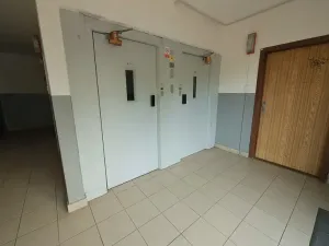 Prodej bytu 4+1, Praha - Žižkov, Pod lipami, 84 m2
