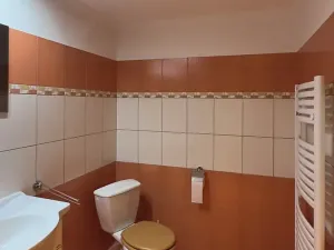 Pronájem bytu 2+1, Ostrov, Štúrova, 58 m2