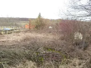 Dražba rodinného domu, Bílichov, 10 m2