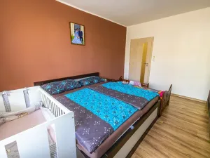 Prodej bytu 3+1, Kněžice, 78 m2