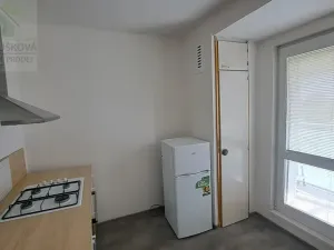 Pronájem bytu 1+1, Ostrava, Pavlovova, 39 m2