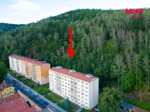 Prodej bytu 2+1, Kraslice, Čs. armády, 54 m2