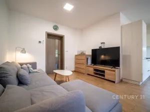 Prodej bytu 3+kk, České Budějovice - České Budějovice 5, Dobrovodská, 62 m2